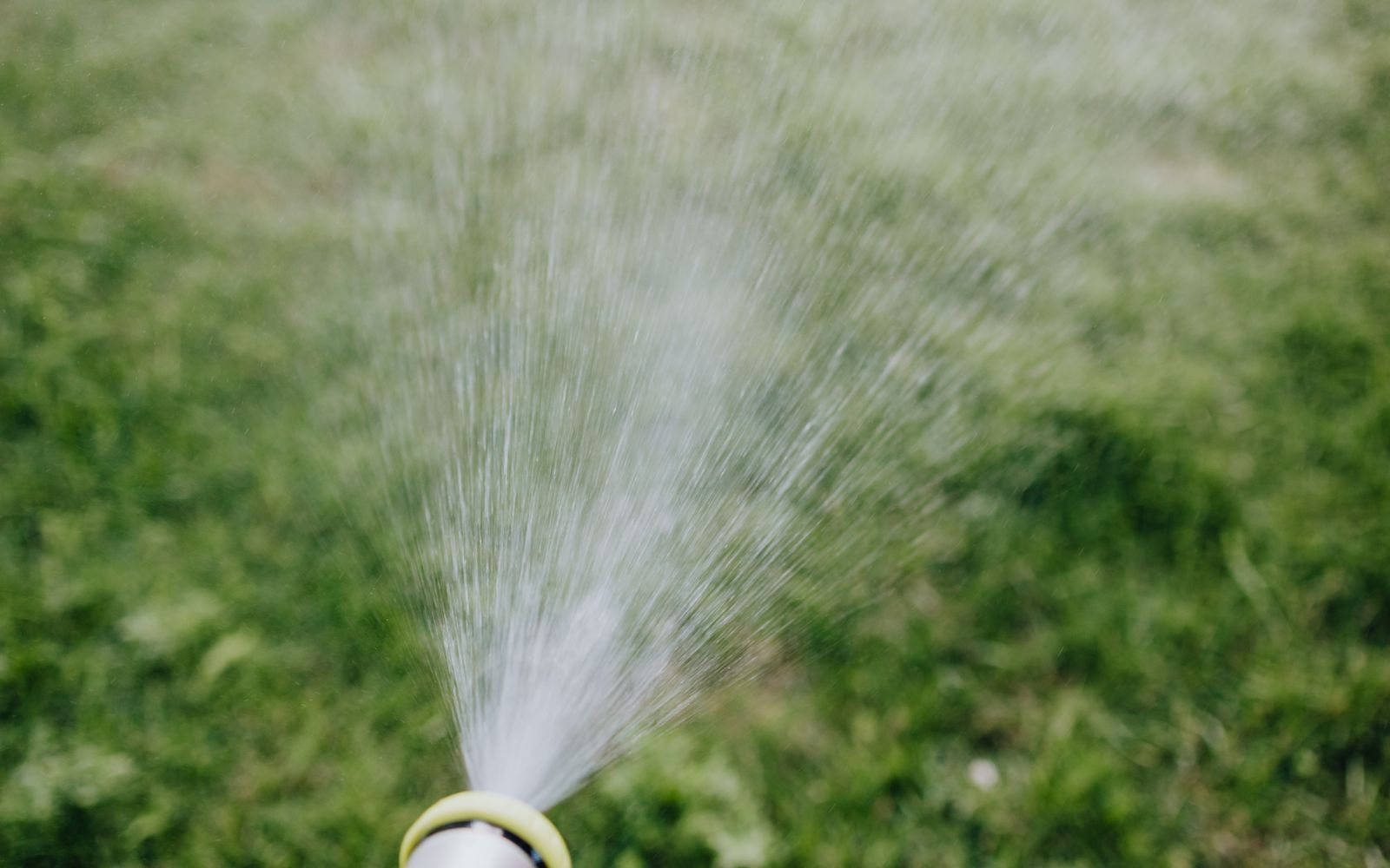 Water spraying across a green lawn